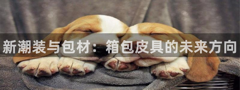 意昂体育3平台注册要钱吗