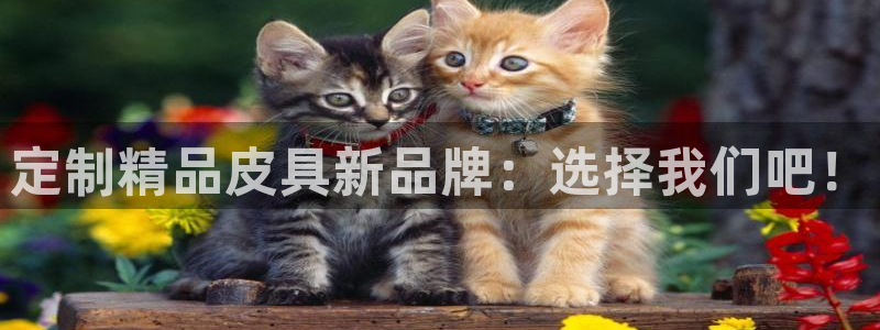意昂3官网