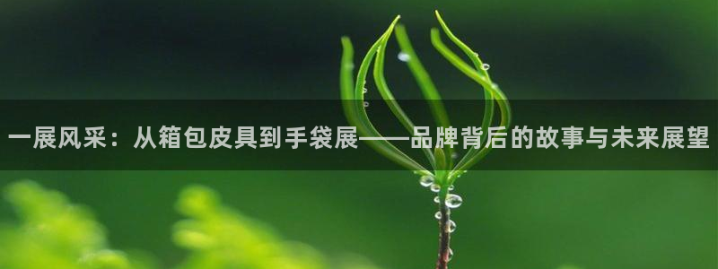 意昂体育3