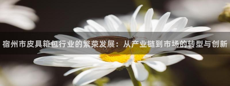 意昂3娱乐40996