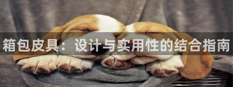 意昂体育3招商电话是多少号码