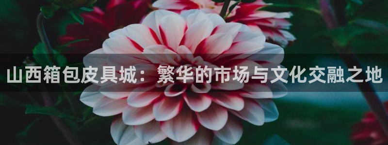 意昂体育3联系电话