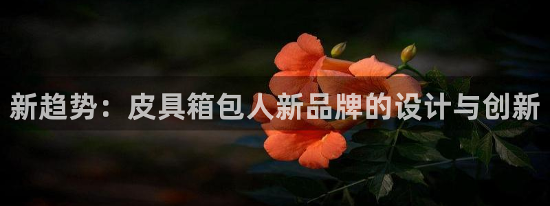 意昂体育3联系电话