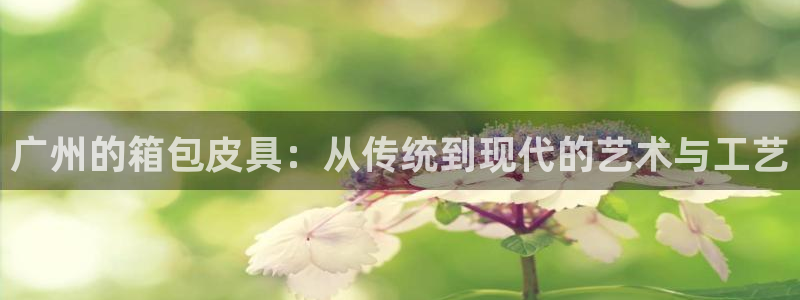 意昂体育3招商电话地址