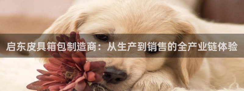 意昂3娱乐下载
