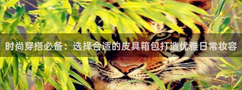 意昂体育3平台假的吗是真的吗