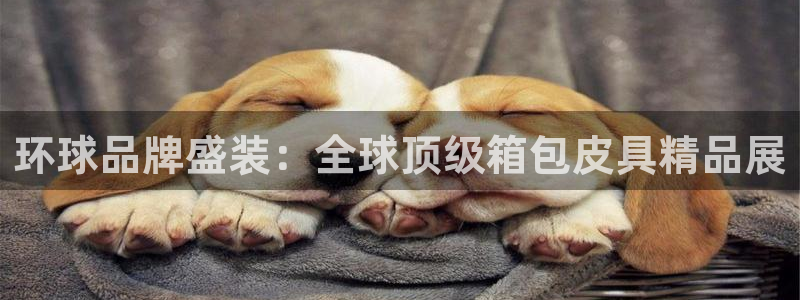 意昂体育3招商电话号码