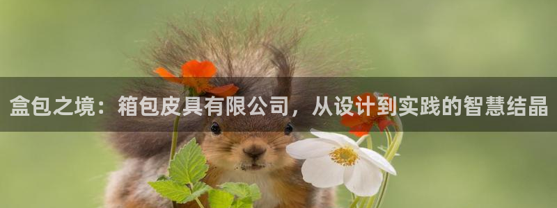 意昂体育3官方客服电话