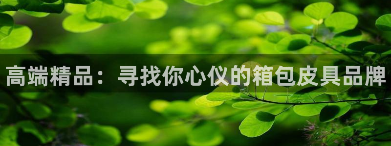 意昂体育3招商电话地址