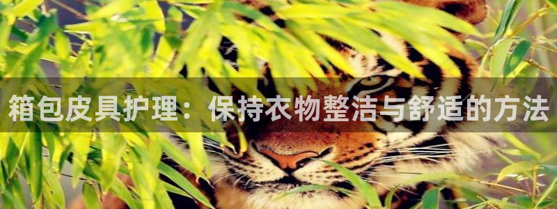 意昂体育3