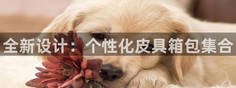 意昂体育3