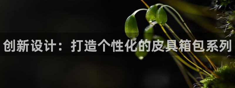 意昂体育3平台假的吗是真的吗