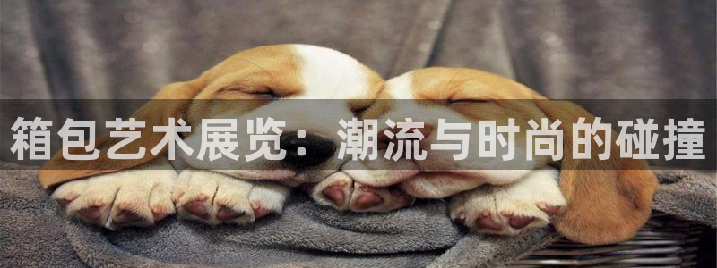 意昂3官网