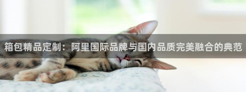 意昂体育3招商电话号码是多少