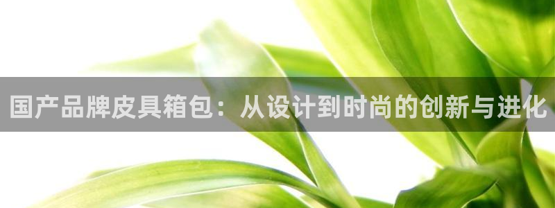 意昂体育3招商电话是多少啊
