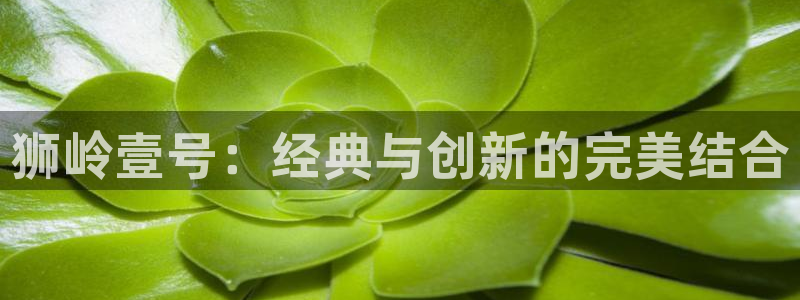 意昂3娱乐