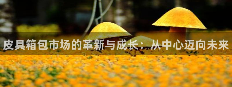 德国意昂3集团