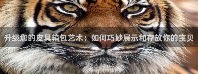 意昂3官方
