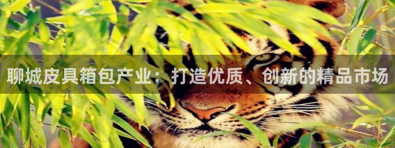 意昂体育3招商电话地址
