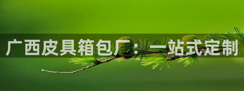意昂3娱乐代理怎么样