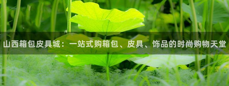 意昂体育3娱乐