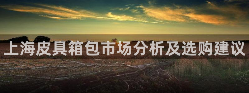 意昂体育3招商