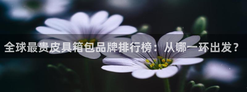 意昂体育3平台注册要钱吗