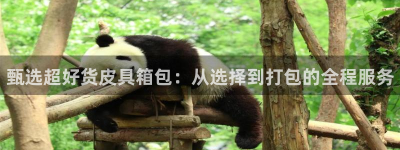 意昂体育3平台是正规平台吗知乎