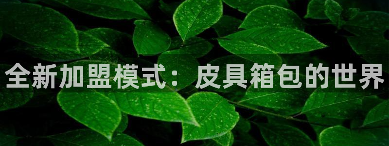 意昂体育3是干嘛的公司