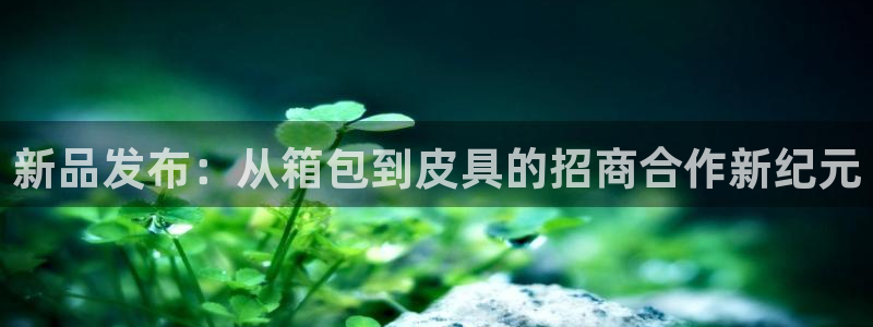 意昂体育3平台是正规平台吗