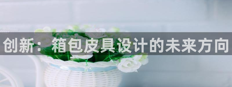 意昂平台体育