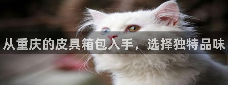 意昂体育3招商电话是多少啊