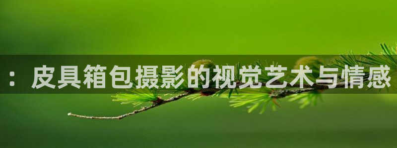 意昂体育3招商电话号码查询是多少