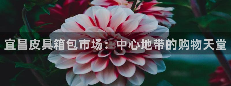 意昂3娱乐平台