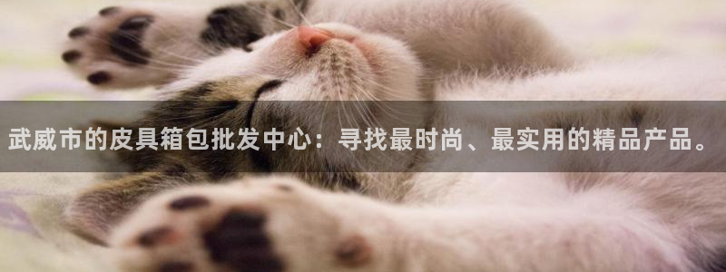 意昂3集团logo