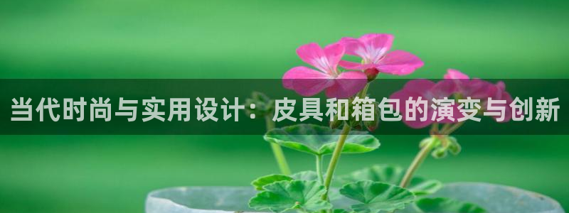 意昂体育3招商电话