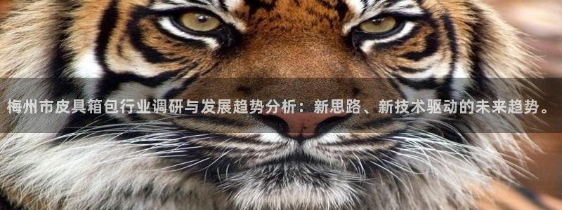 海南意昂体育3