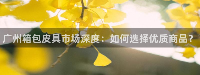 意昂体育3招商电话地址