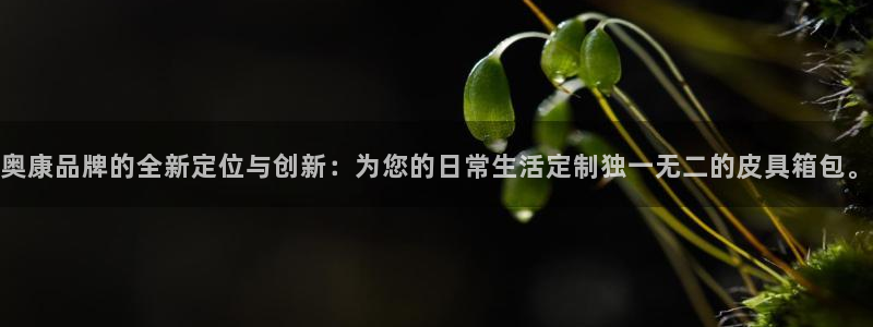 意昂体育3招商电话号码是多少啊