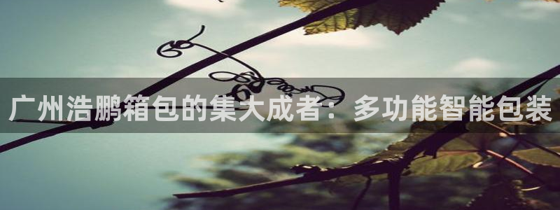 意昂体育3招商电话是多少