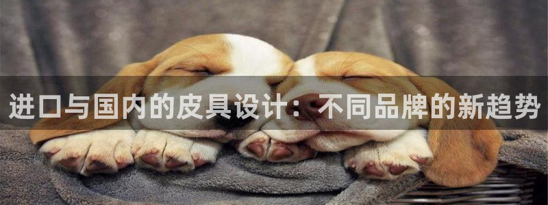 意昂体育3招商电话号码查询