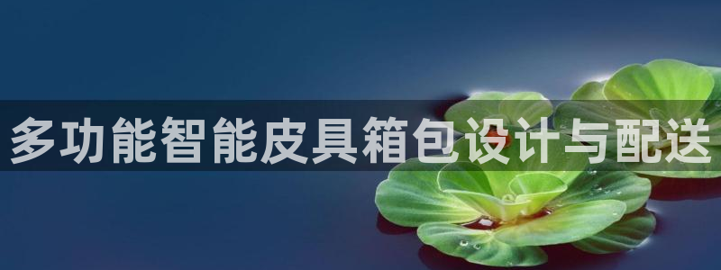 意昂3新能源