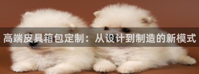 意昂体育3招商电话地址