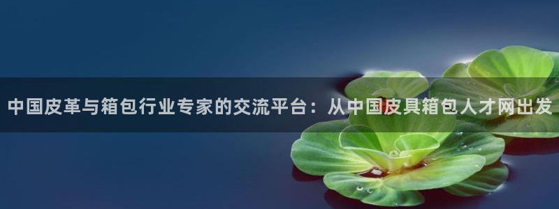 意昂体育3招商电话号码