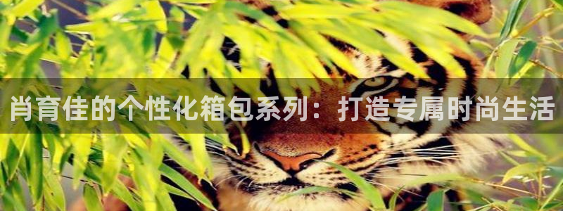 意昂体育3平台注册要钱吗安全吗