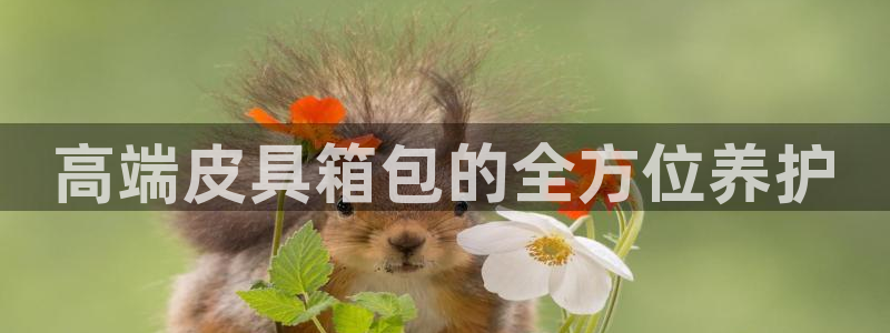 意昂体育3官方客服电话