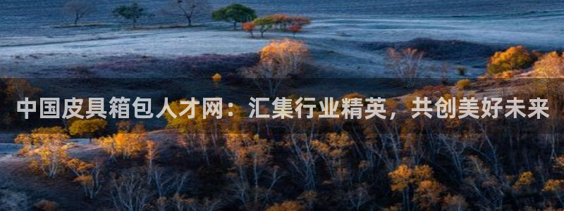 意昂体育3招商电话号码是多少