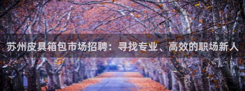 意昂体育3是干嘛的公司