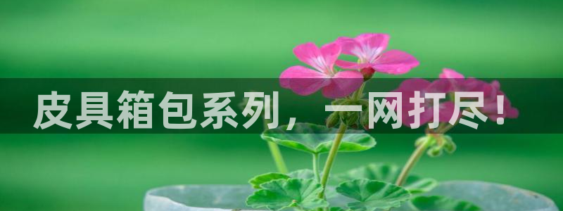 意昂体育3招商电话号码查询是多少