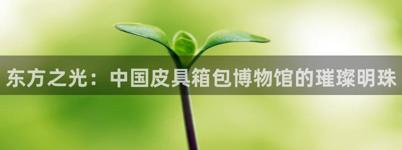 意昂体育3官方客服电话